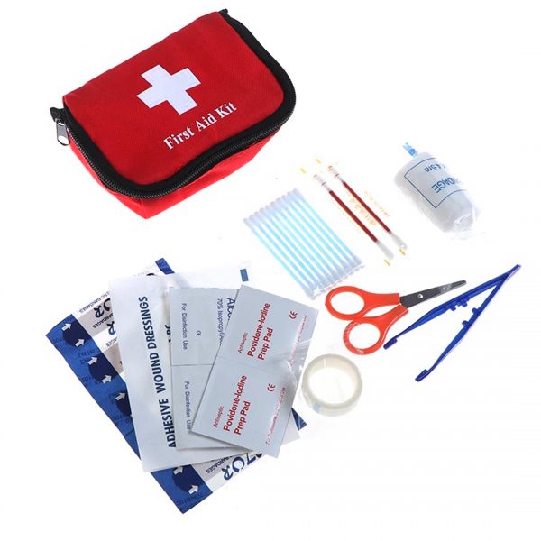 Voetganger Mauve Observatorium Mini EHBO kit - First Aid Kit - Reis Verbanddoos - EHBO tools - LootSafe